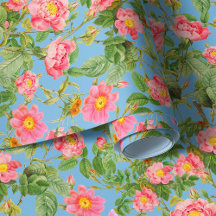 Tender garden roses on sky blue background