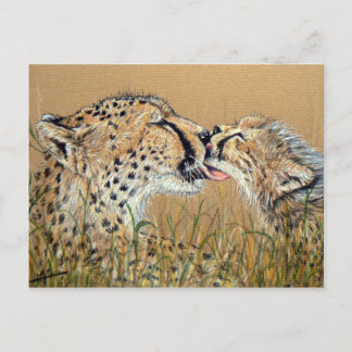 Tender Kiss Cheetah Baby & Mom Postcard