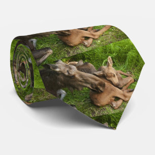Tender Mother Moose Tie