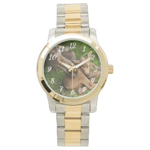 Tender Mother Moose Watch