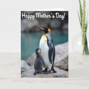 Tender Mothers Day Bird Card