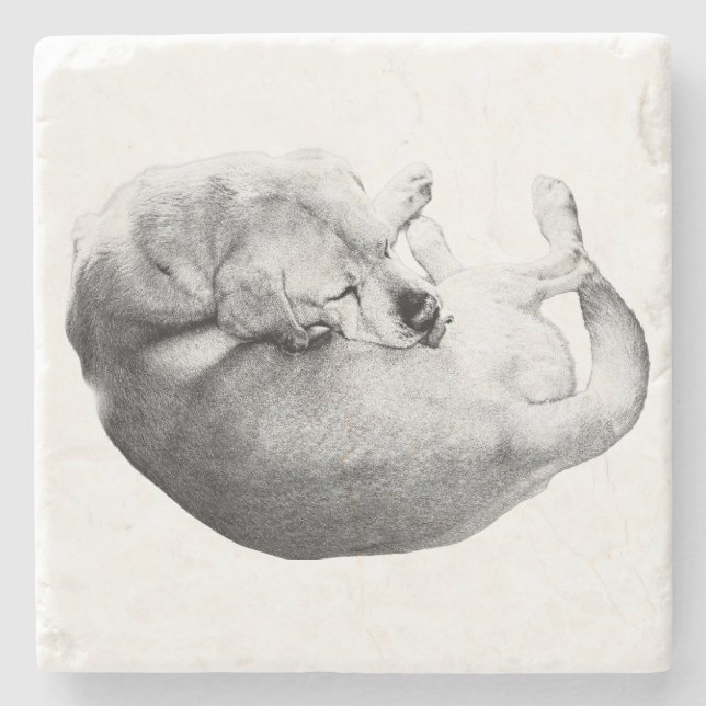Tender Ritual Stone Coaster (Front)