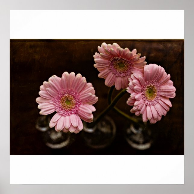 tenderly poster (Front)