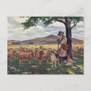 Tending the Sheep Postcard
