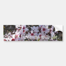 Tenerife Almond Flowery Car Sticker