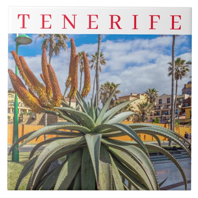 Tenerife Aloe Vera plant ceramic tile (Front)