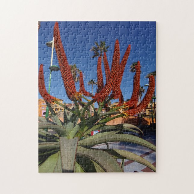 Tenerife Aloe Vera plante puzzle (Vertical)