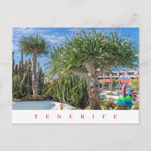 Tenerife arbres uniques vue carte postale