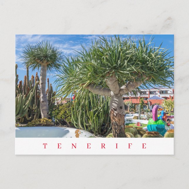 Tenerife arbres uniques vue carte postale (Devant)