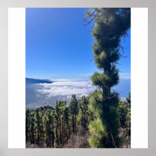 Tenerife bliss.. poster