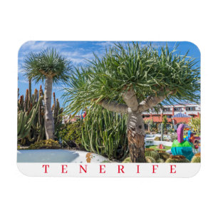 Tenerife trees fridge magnet
