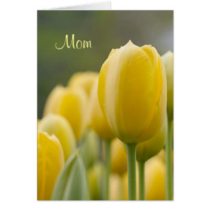 Tenez-vous debout Tulip