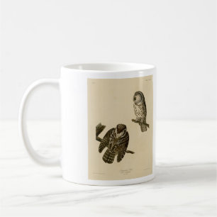 Tengmalm's (Boreal) Owl Audubon's Birds of America Coffee Mug