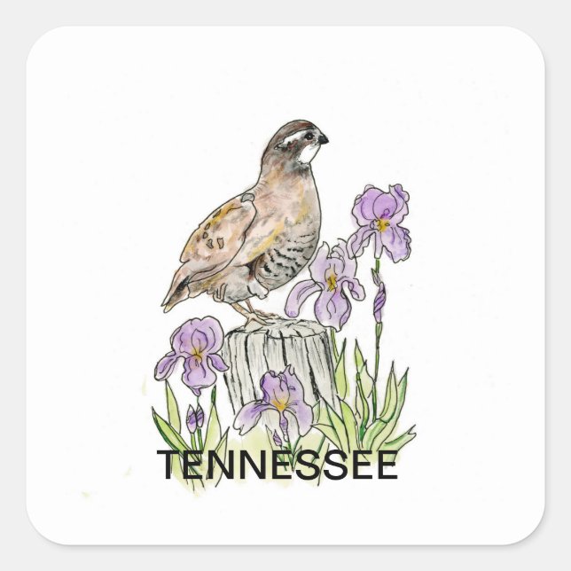 Tennessee bird flower square sticker (Front)