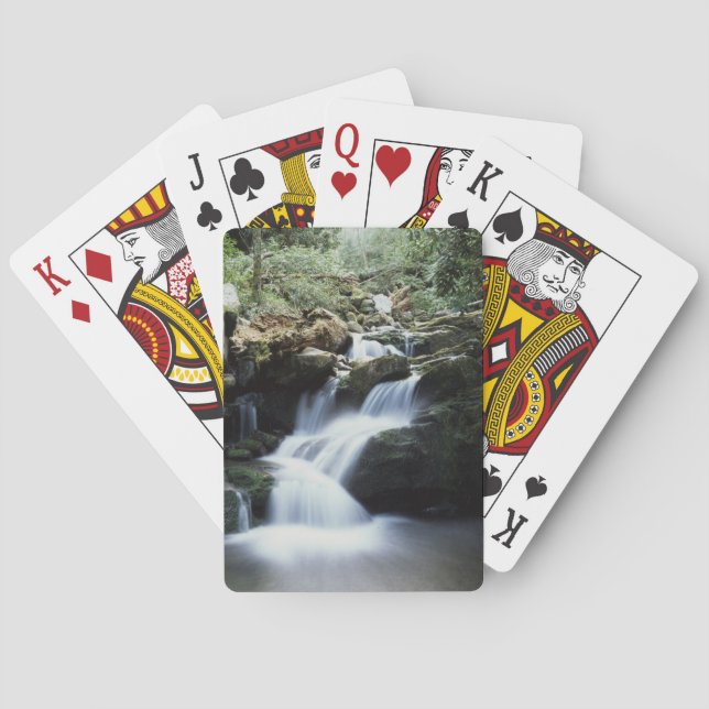 Tennessee, Great Smoky Mountains National Park 3 Playing Cards (Back)