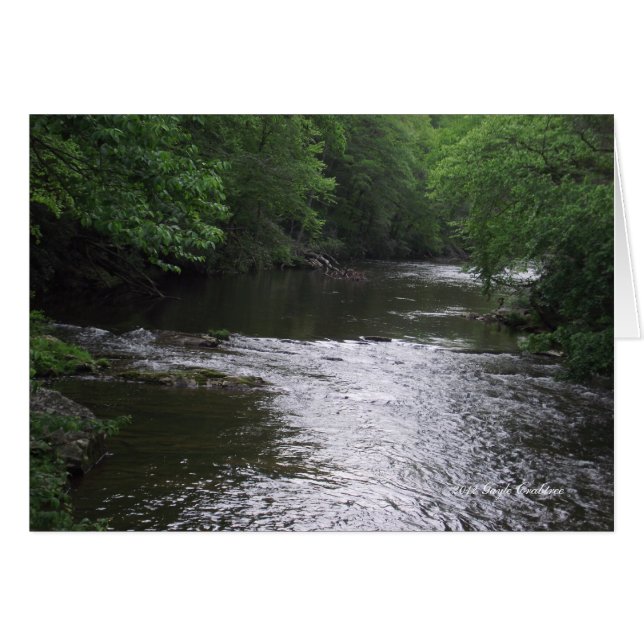Tennessee mountain stream (Front Horizontal)