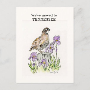 Tennessee Postcard