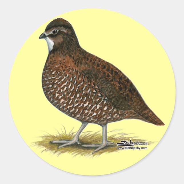 Tennessee Red Quail Classic Round Sticker (Front)