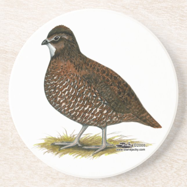 Tennessee Red Quail Coaster (Front)
