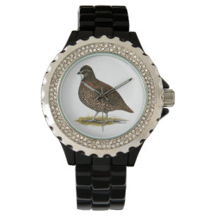 Tennessee Red Quail Watch