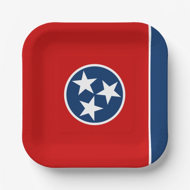 Tennessee State Flag Paper Plate (Front)