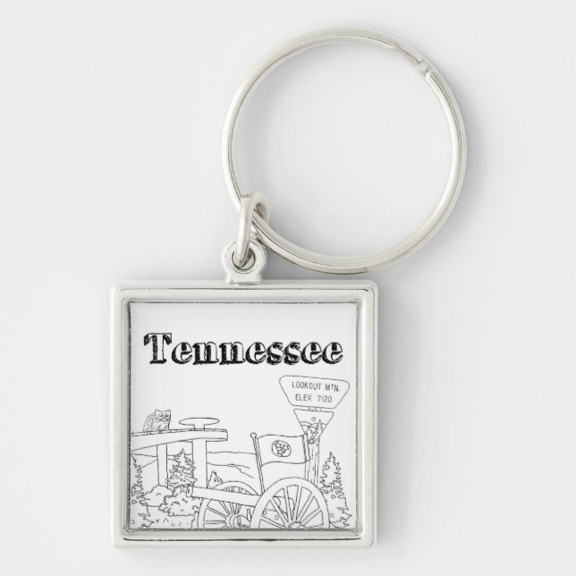 Tennessee State Symbols Volunteer State Images Keychain (Front)