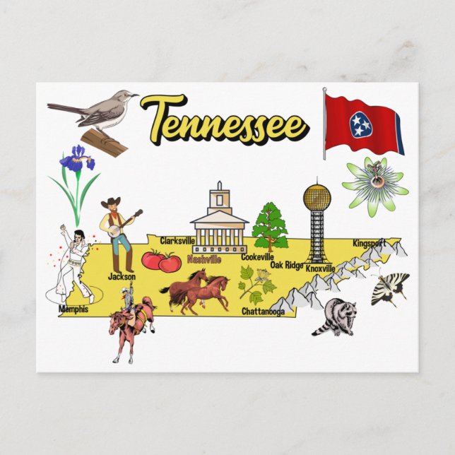  Tennessee state, USA Postcard (Front)
