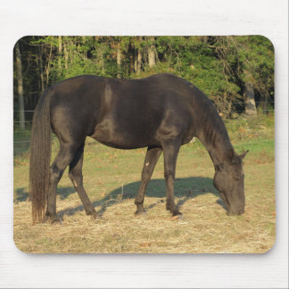 Tennessee Walking Horse Mare mouse pad