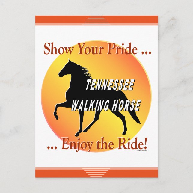 Tennessee Walking Horse Show Your Pride Postcard (Front)