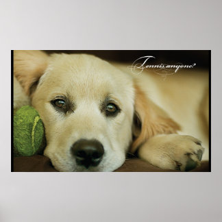 Tennis anyone? poster