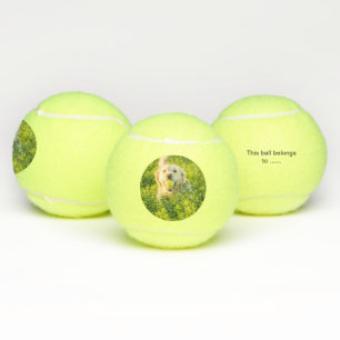 Tennis ball for dog with picture and name