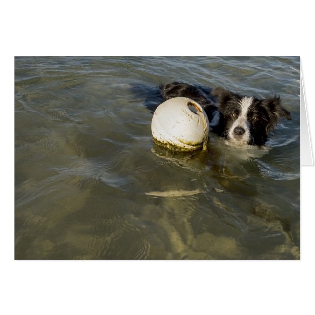 Tennis balls are for weaklings! (Front Horizontal)
