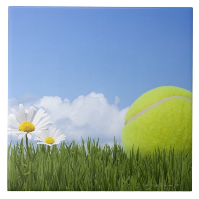 Tennis Balls Tile (Front)