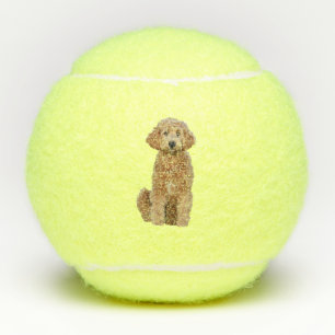 Tennis balls w/ goldendoodle