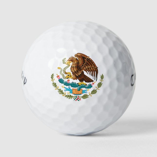 Tenochtitlan Manteau mexicain d'armoiries balles d (Devant)