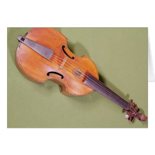 Tenor viol, 1667