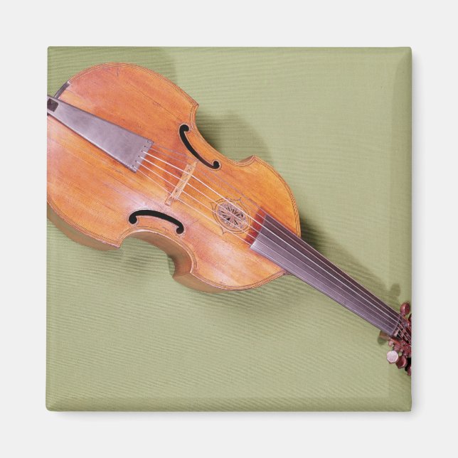 Tenor viol, 1667 magnet (Front)
