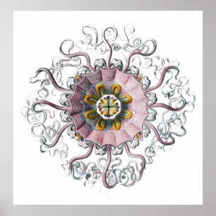 Tentacled Creature Poster