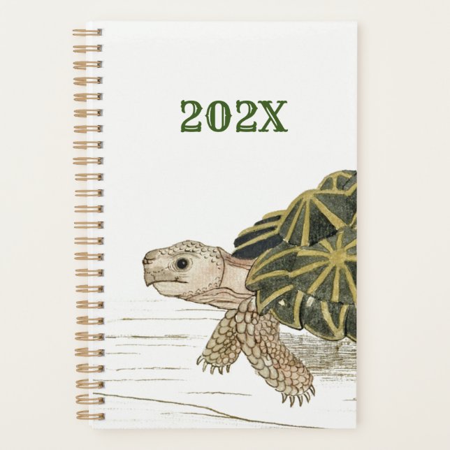 Tente Tortoise | Turtle Beach Sea Animal Jigsaw (Devant)