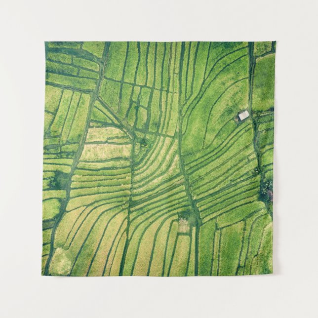 Tenture Aerial photography of green farm field (Devant)