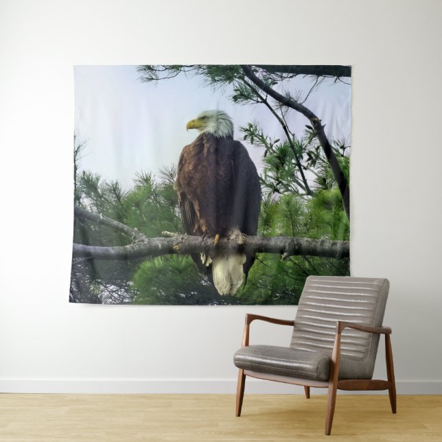Tenture Aigle mûre perché dans l'arbre (En situation (horizontale))