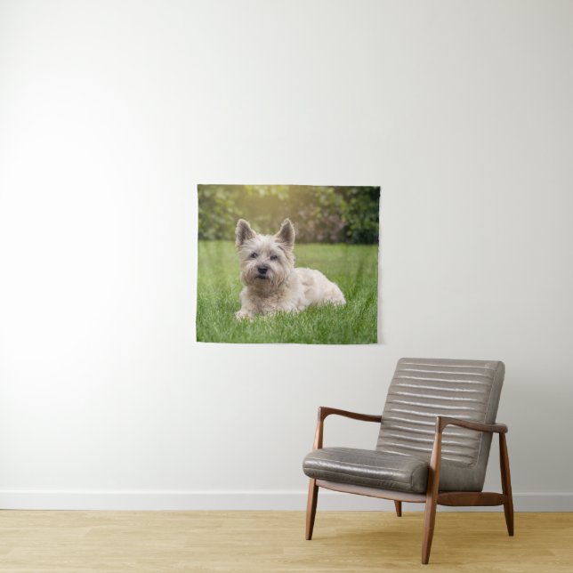 Tenture Animaux de bébés cutest | Cairn Terrier Dog (En situation (horizontale))
