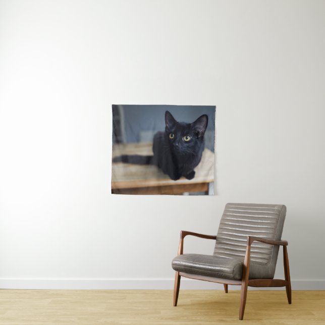 Tenture Animaux de bébés cutest | Portrait d'un chat noir (En situation (horizontale))