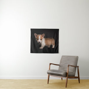 Tenture Animaux de bébés cutest   Tiny Corgi