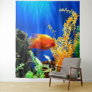 Tenture Aquarium aquarium aquarium
