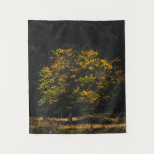 Tenture Arbre de couleur automne