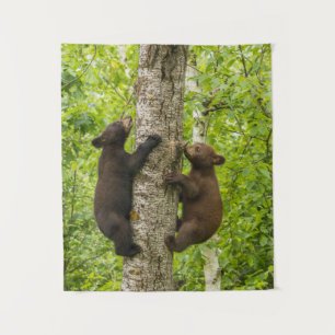Tenture Arbre d'Escalades de l'ours noir
