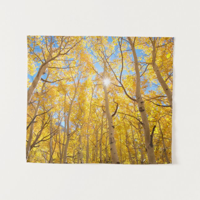Tenture Arbres d'Aspen | Sierra Nevada Mountains, CA (Devant (Horizontal))