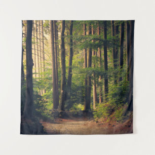 TENTURE ARBRES FORESTIERS