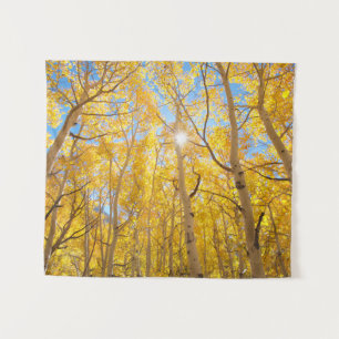 Tenture Aspen Trees Sierra Nevada Mountains, CA